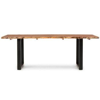 Tipaz Dining Table - W210